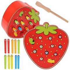 Puitmäng, usside püüdmine, magnet, maasikas, pulk цена и информация | Игрушки для малышей | kaup24.ee