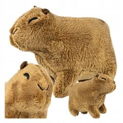 Pluusi, capybara, maskott, karu lastele цена и информация | Мягкие игрушки | kaup24.ee