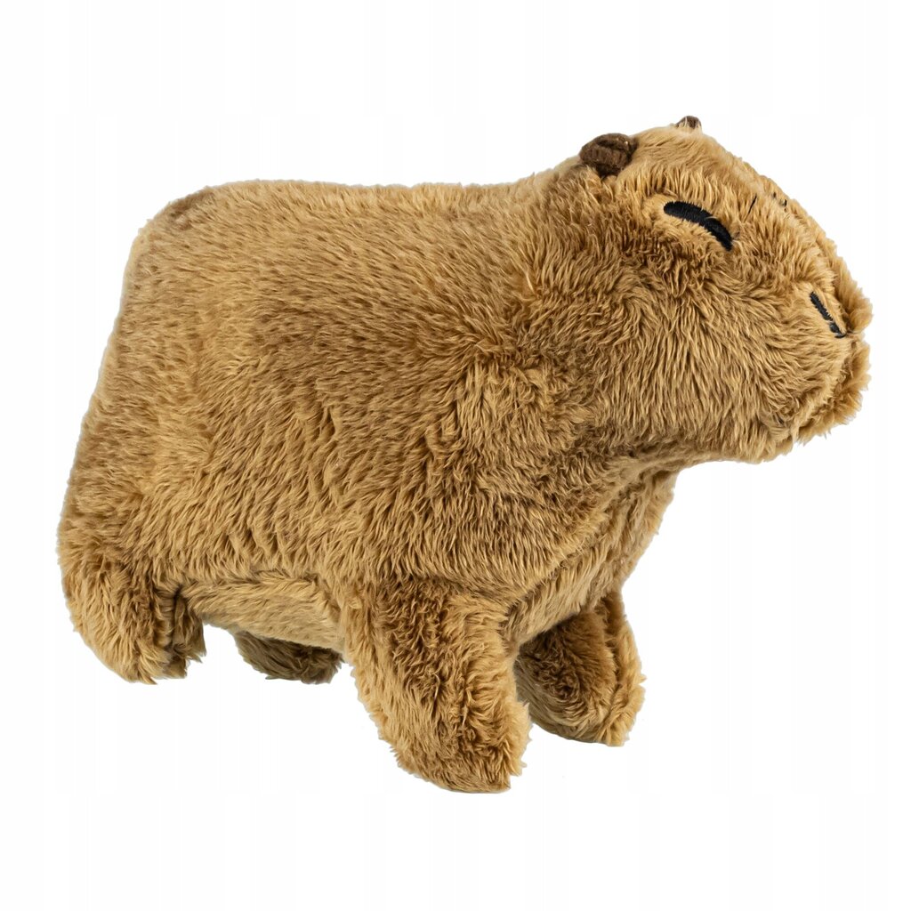 Pluusi, capybara, maskott, karu lastele цена и информация | Pehmed mänguasjad | kaup24.ee