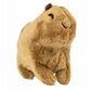 Pluusi, capybara, maskott, karu lastele цена и информация | Pehmed mänguasjad | kaup24.ee