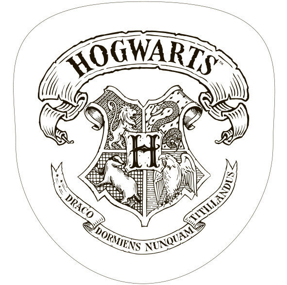 Dekoratiivne padi Harry Potter 34*36 cm цена и информация | Dekoratiivpadjad ja padjakatted | kaup24.ee