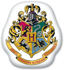 Dekoratiivne padi Harry Potter 35*37 cm hind ja info | Dekoratiivpadjad ja padjakatted | kaup24.ee