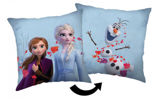 Dekoratiivne padi Disney Frozen Leaves Cushion, Decorative cushion 40*40 cm hind ja info | Dekoratiivpadjad ja padjakatted | kaup24.ee