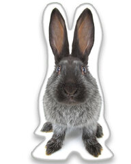 Dekoratiivne padi Rabbit 22*36 cm hind ja info | Dekoratiivpadjad ja padjakatted | kaup24.ee
