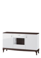 Шкафчик Massimo 48, коричневый/белый цена и информация | Шкафчики в гостиную | kaup24.ee