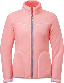 Женский свитер SwissWell, розовый цена и информация | Женские кофты | kaup24.ee