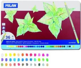 Värvipliiatsite komplekt Milan 0726136 hind ja info | Kunstitarbed, voolimise tarvikud | kaup24.ee