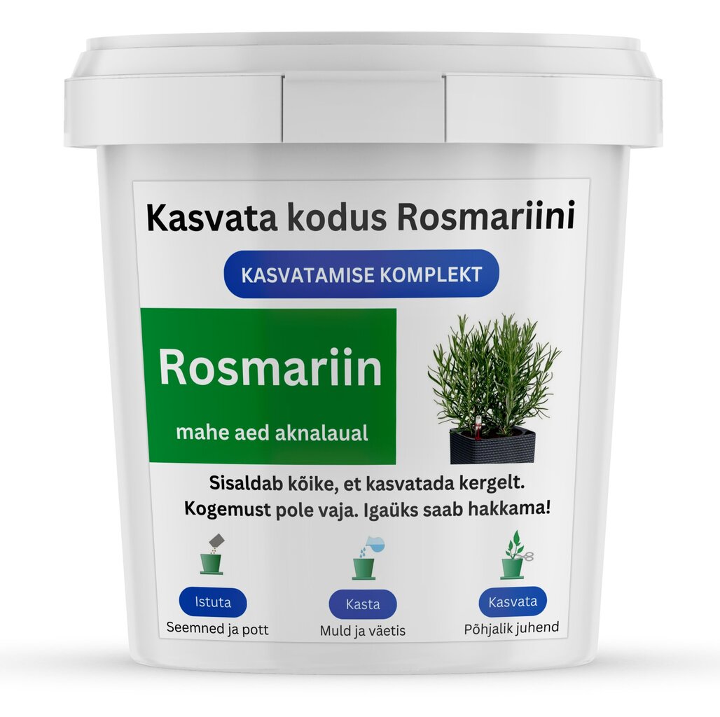 Komplekt Rosmariini kodus kasvatamiseks hind ja info | Maitsetaimede seemned | kaup24.ee