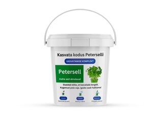 Komplekt Peterselli kodus kasvatamiseks hind ja info | Maitsetaimede seemned | kaup24.ee