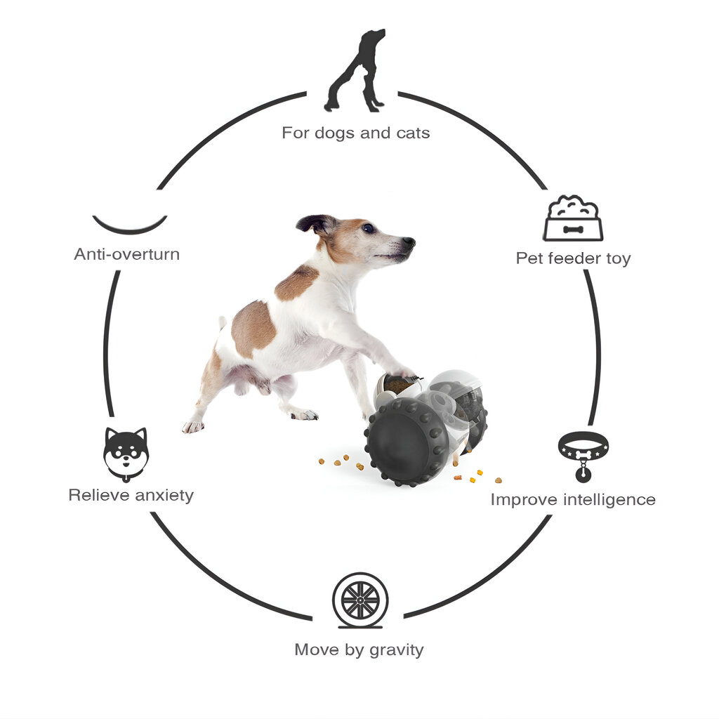 2in1 lemmikloomade interaktiivne mänguasi ja toiduautomaat LIVMAN H-43 цена и информация | Mänguasjad kassidele | kaup24.ee