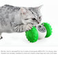2in1 lemmikloomade interaktiivne mänguasi ja toiduautomaat LIVMAN H-43 hind ja info | Mänguasjad kassidele | kaup24.ee