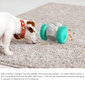 2in1 lemmikloomade interaktiivne mänguasi ja toiduautomaat LIVMAN H-43 цена и информация | Mänguasjad koertele | kaup24.ee