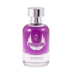 Lõhnavesi Monster Fragrance Maximus Paris Corner meestele, 100 ml hind ja info | Meeste parfüümid | kaup24.ee