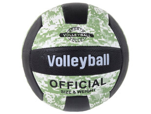 Волейбольный мяч, зеленый, 5 цена и информация | Волейбольные мячи | kaup24.ee