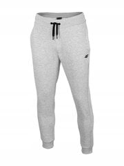 Брюки 4F: спортивные, светло-серые, размер XL цена и информация | Мужская спортивная одежда | kaup24.ee