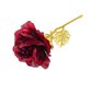 Igavene roos karbis Gordon, punane hind ja info | Uinuvad roosid, taimed | kaup24.ee