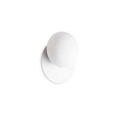 Настенный светильник Ninfea Ap1 Bianco цена и информация | Настенные светильники | kaup24.ee
