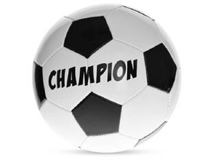 футбольный мяч champion цена и информация | Футбольные мячи | kaup24.ee