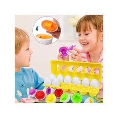 Woopie Montessori munakomplekt, 12 tk hind ja info | Arendavad mänguasjad | kaup24.ee