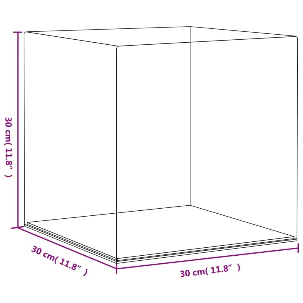 Läbipaistev vitriinkarp vidaXL, 30x30x30cm hind ja info | Kirjatarbed | kaup24.ee