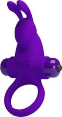 Кольцо на пенис Pretty Love Vibrant, фиолетовое цена и информация | БДСМ и фетиш | kaup24.ee