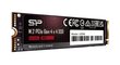 Silicon Power 4TBSP04KGBP44UD9005 цена и информация | Sisemised kõvakettad (HDD, SSD, Hybrid) | kaup24.ee
