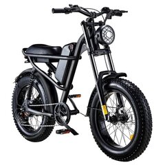 Электровелосипед Riding'times Z8, 20", черный, 500 Вт, 15 Ач цена и информация | Электровелосипеды | kaup24.ee