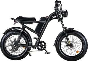 Электровелосипед Riding'times Z8, 20", черный, 500 Вт, 15 Ач цена и информация | Электровелосипеды | kaup24.ee