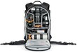 Lowepro ProTactic BP 350 AW II (LP37176-GRL) hind ja info | Kotid, vutlarid fotoaparaatidele | kaup24.ee