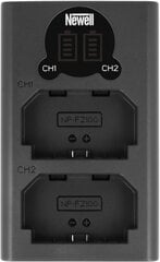 Newell зарядное устройство DL-USB-C Sony NP-FZ100 цена и информация | Зарядные устройства для фотоаппаратов | kaup24.ee