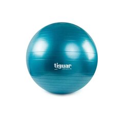 Võimlemispall Tiguaro TI-SP0075M, 75 cm, sinine hind ja info | Võimlemispallid | kaup24.ee