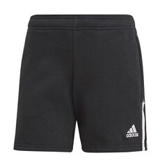 Naiste lühikesed püksid Adidas Tiro 21 Sweat W GM7330, must hind ja info | Naiste spordiriided | kaup24.ee