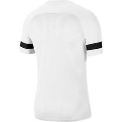 Nike T-särk meestele Dri-FIT CW6101100, valge цена и информация | Мужские футболки | kaup24.ee