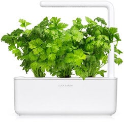 Click & Grow Smart Garden refill Lehtseller 3tk hind ja info | Köögivilja-, marjaseemned | kaup24.ee