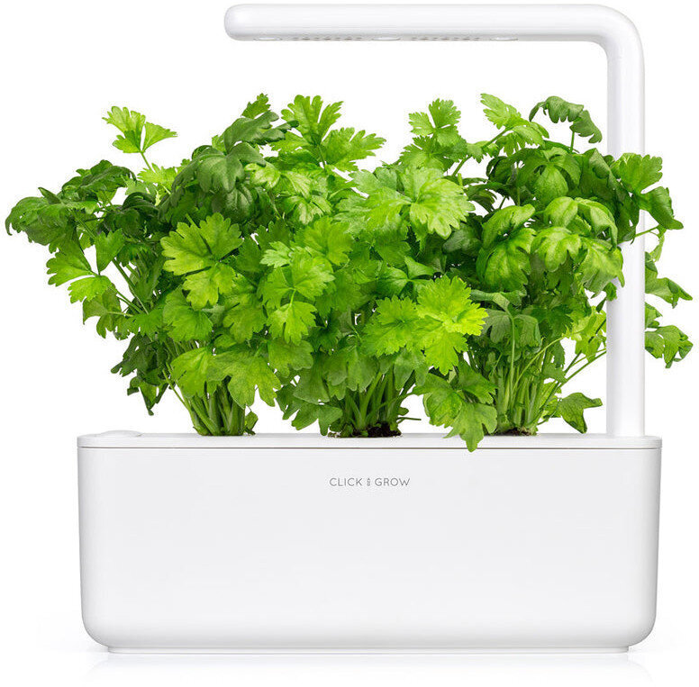 Click & Grow Smart Garden refill Lehtseller 3tk hind ja info | Köögivilja-, marjaseemned | kaup24.ee