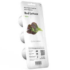 Salat Click & Grow Smart Garden Red Salat, 3 tk hind ja info | Köögivilja-, marjaseemned | kaup24.ee