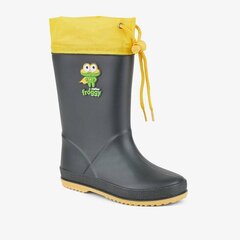 Kummikud tüdrukutele Wellingtons Coqui Rainy Collar, rohelised цена и информация | Резиновые сапоги детские | kaup24.ee