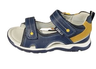 Sandaalid poisile Clibeele AB302.D.Blue/Yellow цена и информация | Детские сандали | kaup24.ee