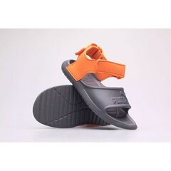 Poiste sandaalid Puma, hallid hind ja info | Laste sandaalid | kaup24.ee