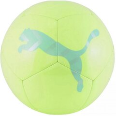 Jalgpallipall Puma Icon hind ja info | Jalgpalli pallid | kaup24.ee