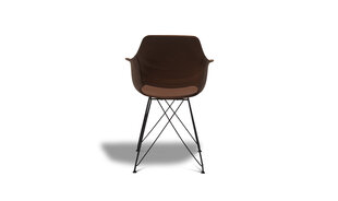 2 tooli komplekt Elvis, pruun цена и информация | Стулья для кухни и столовой | kaup24.ee