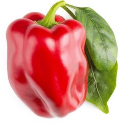 Click & Grow Smart Garden refill Punane paprika 3tk hind ja info | Köögivilja-, marjaseemned | kaup24.ee