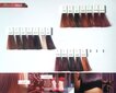 Juuksevärv Wella Professionals Color Touch 60 ml, 55/54 light brown mahogany intense copper цена и информация | Juuksevärvid | kaup24.ee