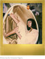 Polaroid i-Type Color Golden Moments 2tk hind ja info | Lisatarvikud fotoaparaatidele | kaup24.ee