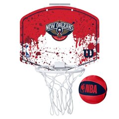 Korvpallilaud rõngaga Wilson NBA цена и информация | Баскетбольные щиты | kaup24.ee