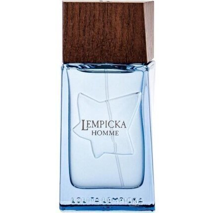 Tualettvesi Lolita Lempicka Lempicka Homme EDT meestele 50 ml hind ja info | Meeste parfüümid | kaup24.ee