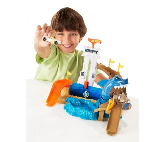 Autorada Hot Wheels, sinine hind ja info | Poiste mänguasjad | kaup24.ee
