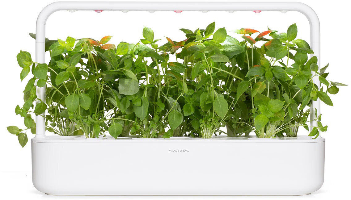 Sidrunbasiilik Click & Grow Smart Refill, 3tk hind ja info | Maitsetaimede seemned | kaup24.ee