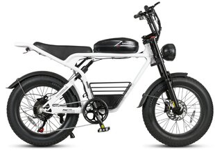 SAMEBIKE M20 elektrijalgratas цена и информация | Электровелосипеды | kaup24.ee