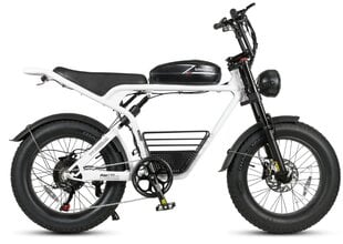 SAMEBIKE M20 elektrijalgratas hind ja info | Elektrirattad | kaup24.ee